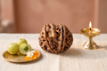 Ganesha Rudraksha