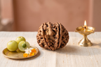 Ganesha Rudraksha
