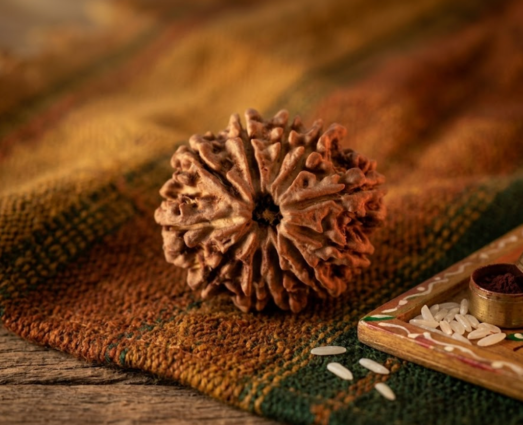 11 Mukhi Rudraksha