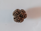 3 Mukhi Rudraksha