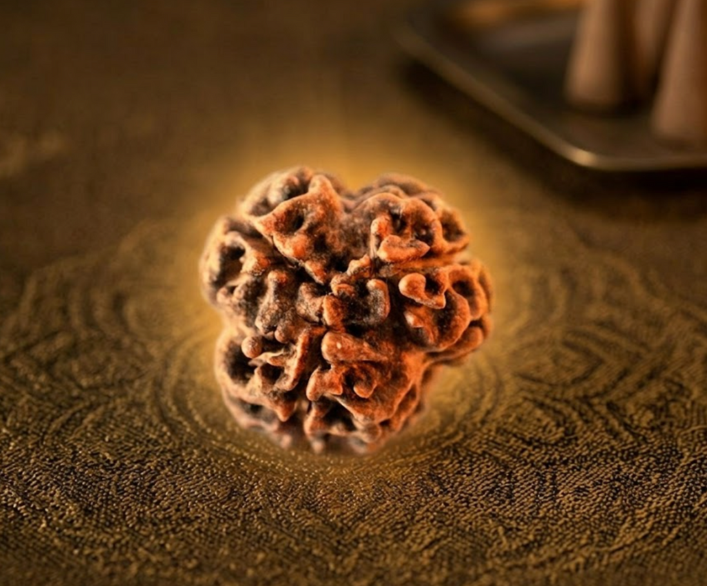 3 Mukhi Rudraksha