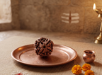 4 Mukhi Rudraksha